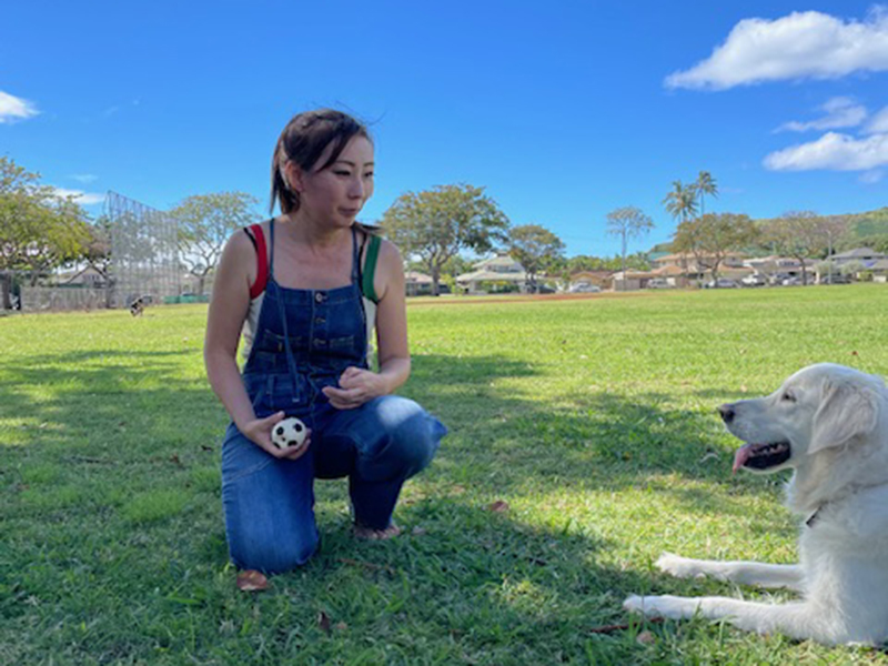 Dog boarding